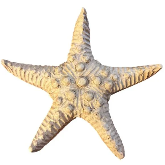 Handcarved Wooden Starfish Large Carved Solid Wood Art Decor 2 lbs Beach 11" - Picture 2 of 8